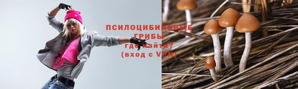 шишки Алексеевка