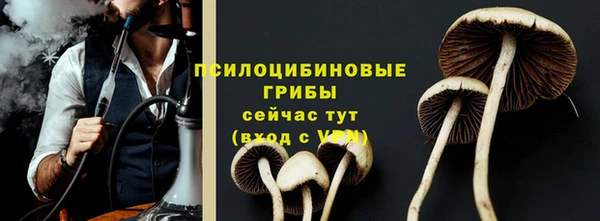 ECSTASY Алзамай