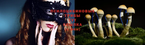 синтетический гашиш Алексин