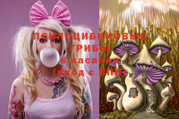шишки Алексеевка