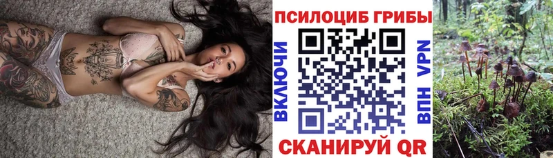 Галлюциногенные грибы ЛСД  ОМГ ОМГ вход  Шацк 